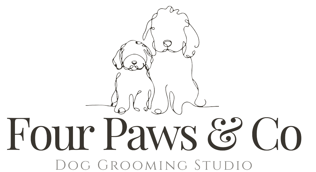 Four Paws & Co Dog Grooming Studio